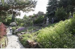 Photo of Mixed Textures